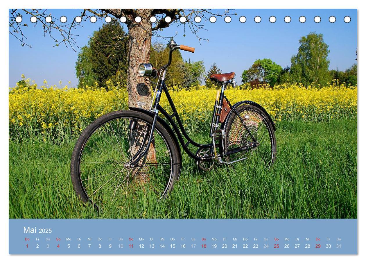 Bild: 9783435669028 | Das Fahrrad 2025 (Tischkalender 2025 DIN A5 quer), CALVENDO...