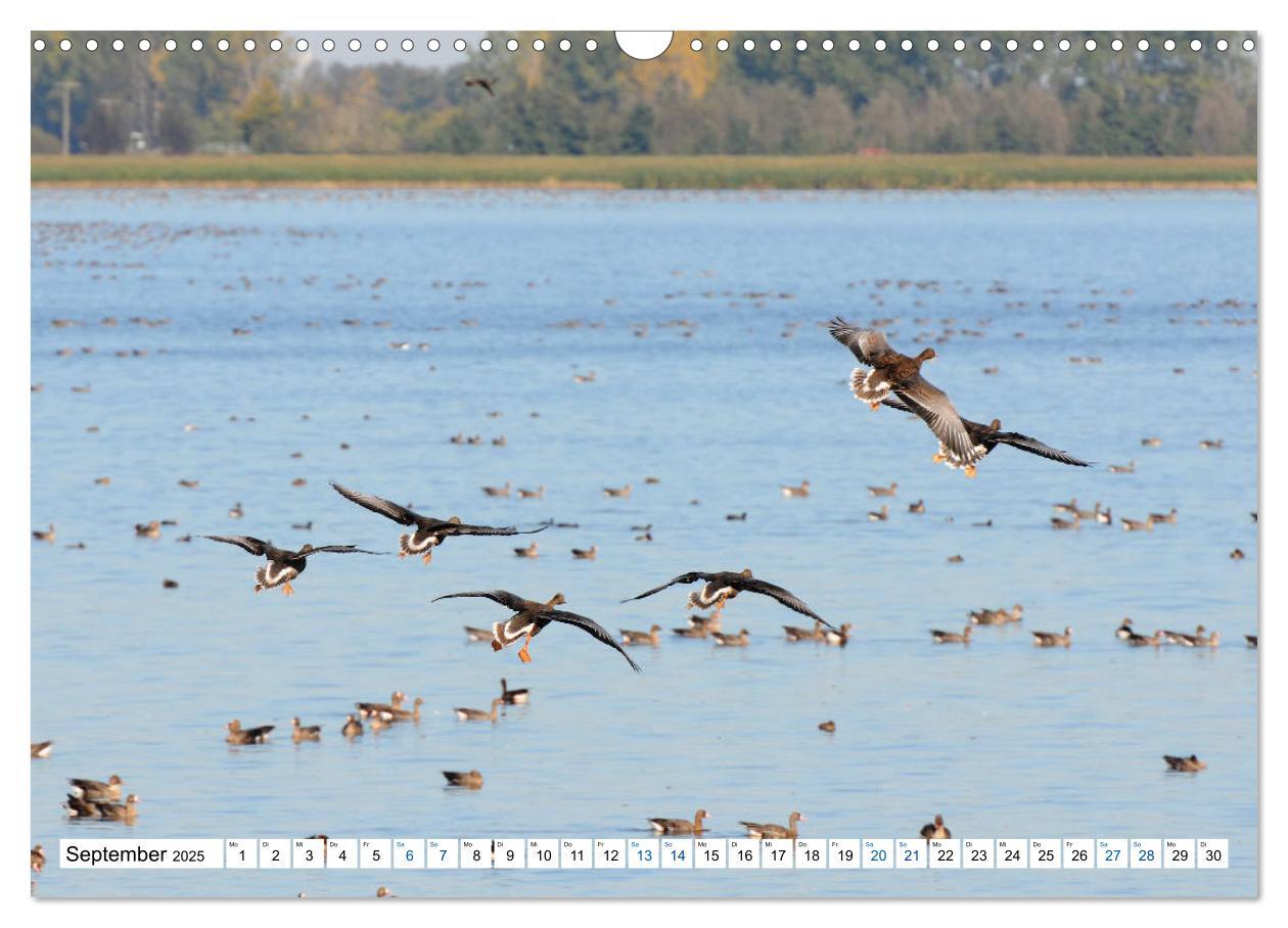 Bild: 9783435376957 | Land Brandenburg - Natur und Erholung im märkischen Land...