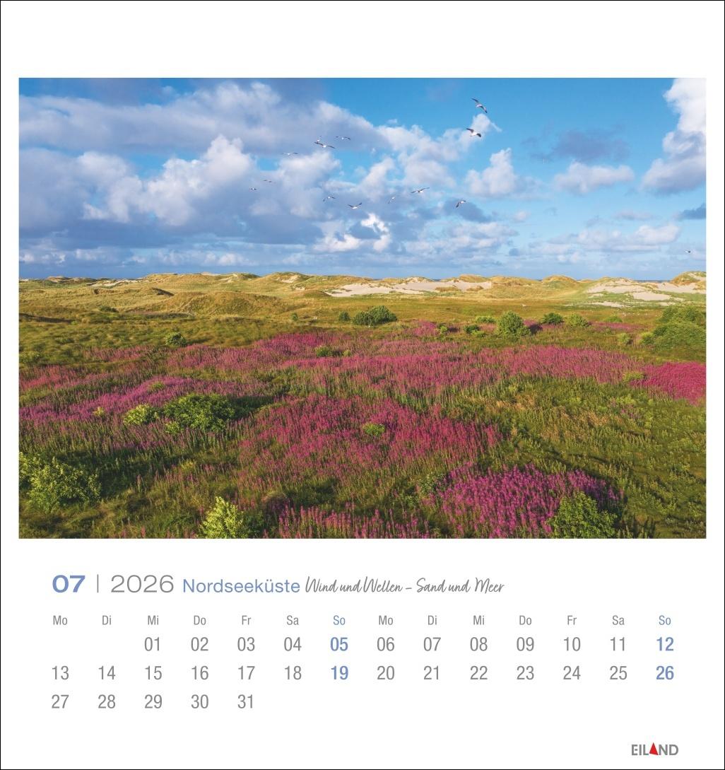 Bild: 9783964023773 | Nordseeküste Postkartenkalender 2026 - Wind und Wellen - Sand und Meer