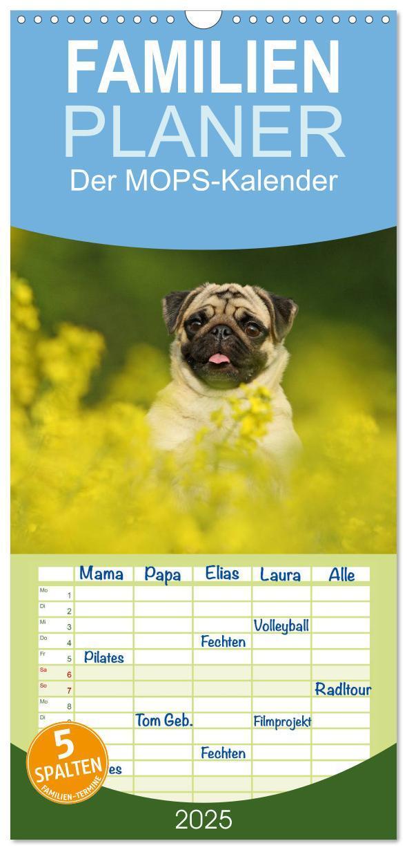 Cover: 9783457119709 | Familienplaner 2025 - Der MOPS-Kalender mit 5 Spalten...