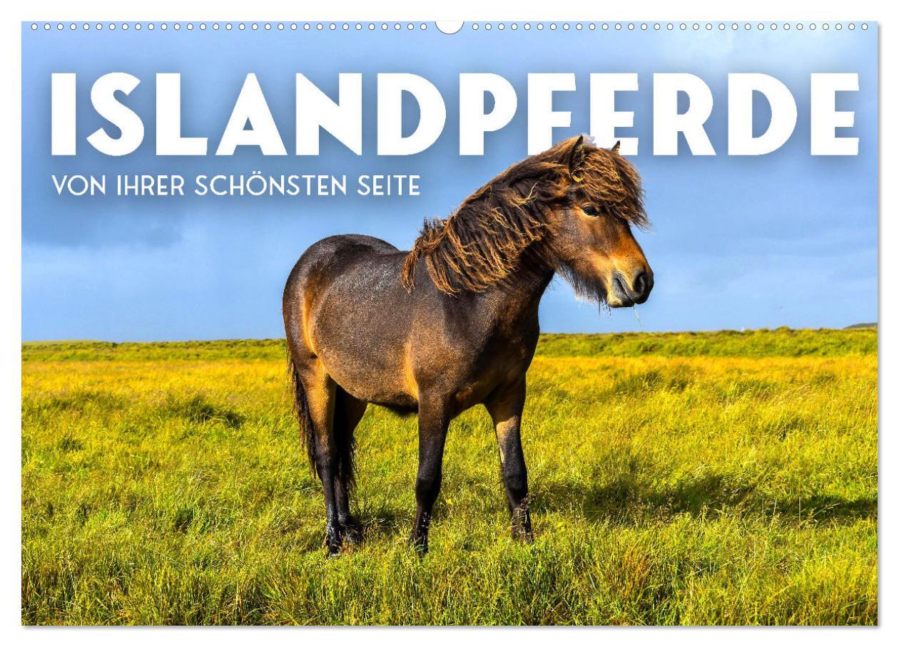 Cover: 9783383929892 | Islandpferde - Von ihrer schönsten Seite (Wandkalender 2025 DIN A2...