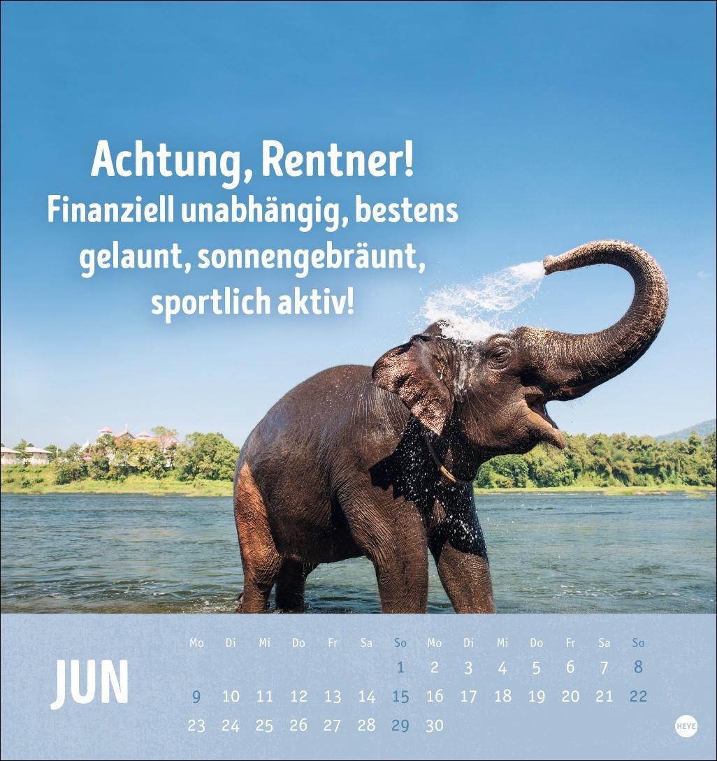 Bild: 9783756407187 | Alt! Aber gut drauf Postkartenkalender 2025 - Der tierische...