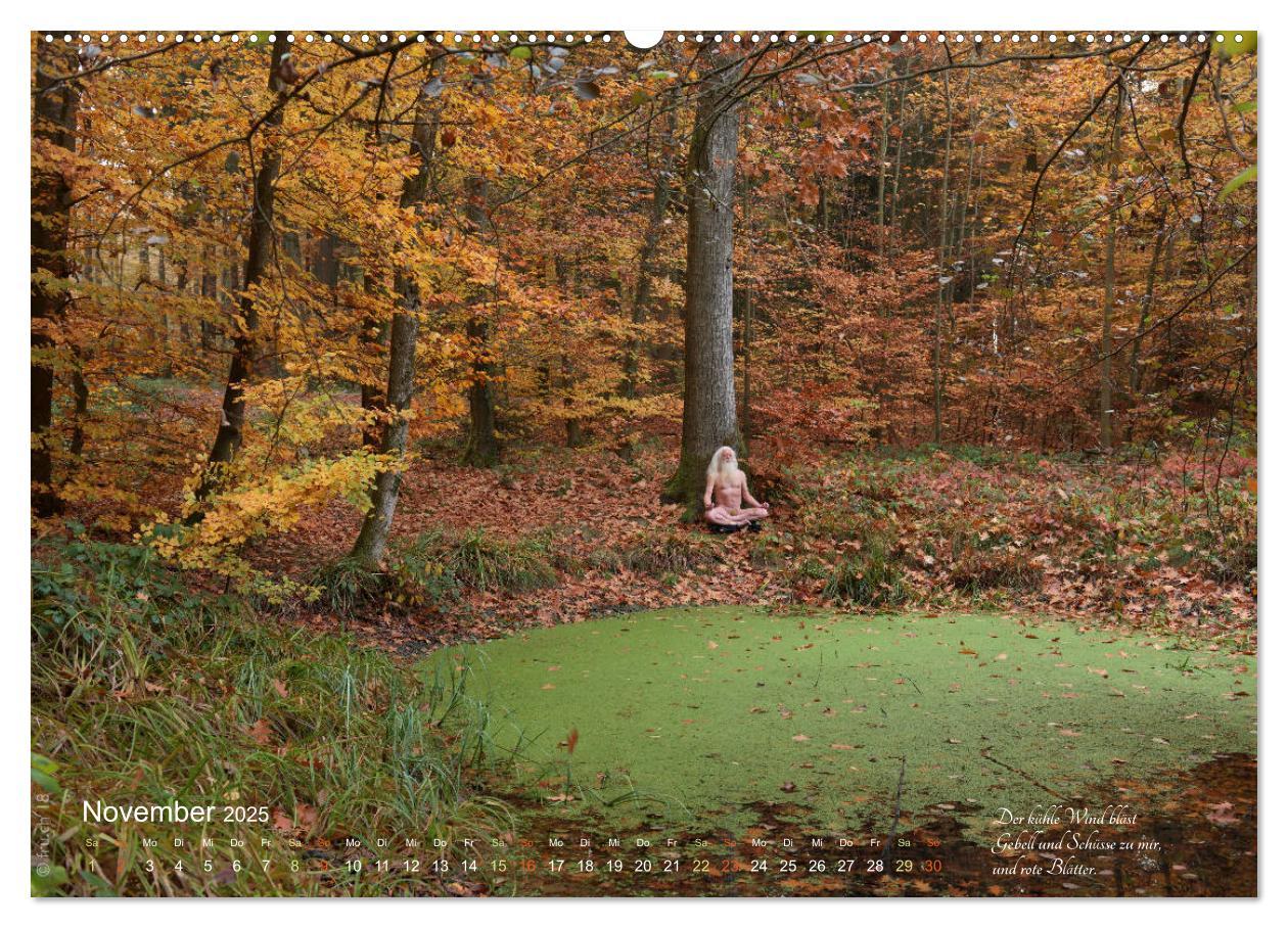 Bild: 9783435291205 | HAIKU AM TEICH (Wandkalender 2025 DIN A2 quer), CALVENDO...