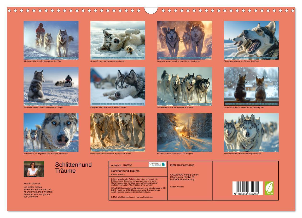 Bild: 9783383831263 | Schlittenhund Träume (Wandkalender 2025 DIN A3 quer), CALVENDO...