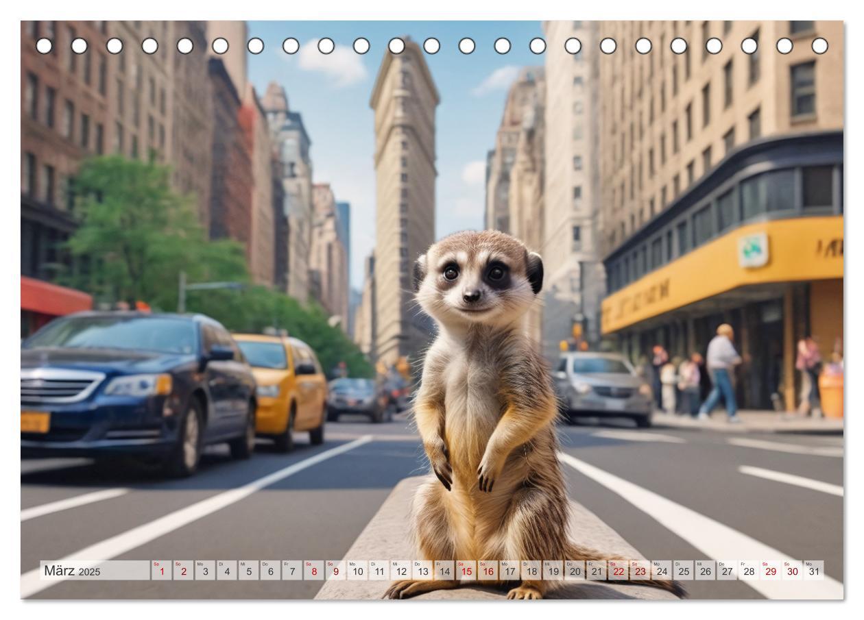 Bild: 9783383797972 | Erdmännchen in New York City (Tischkalender 2025 DIN A5 quer),...