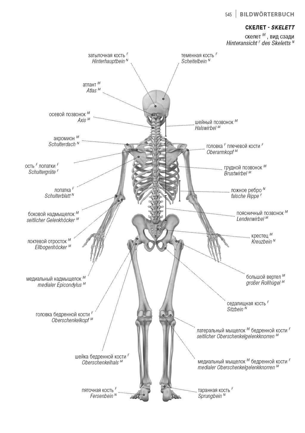 Bild: 9783898947091 | Fachwörterbuch Medizin Deutsch-Russisch | Jourist Verlag | Taschenbuch