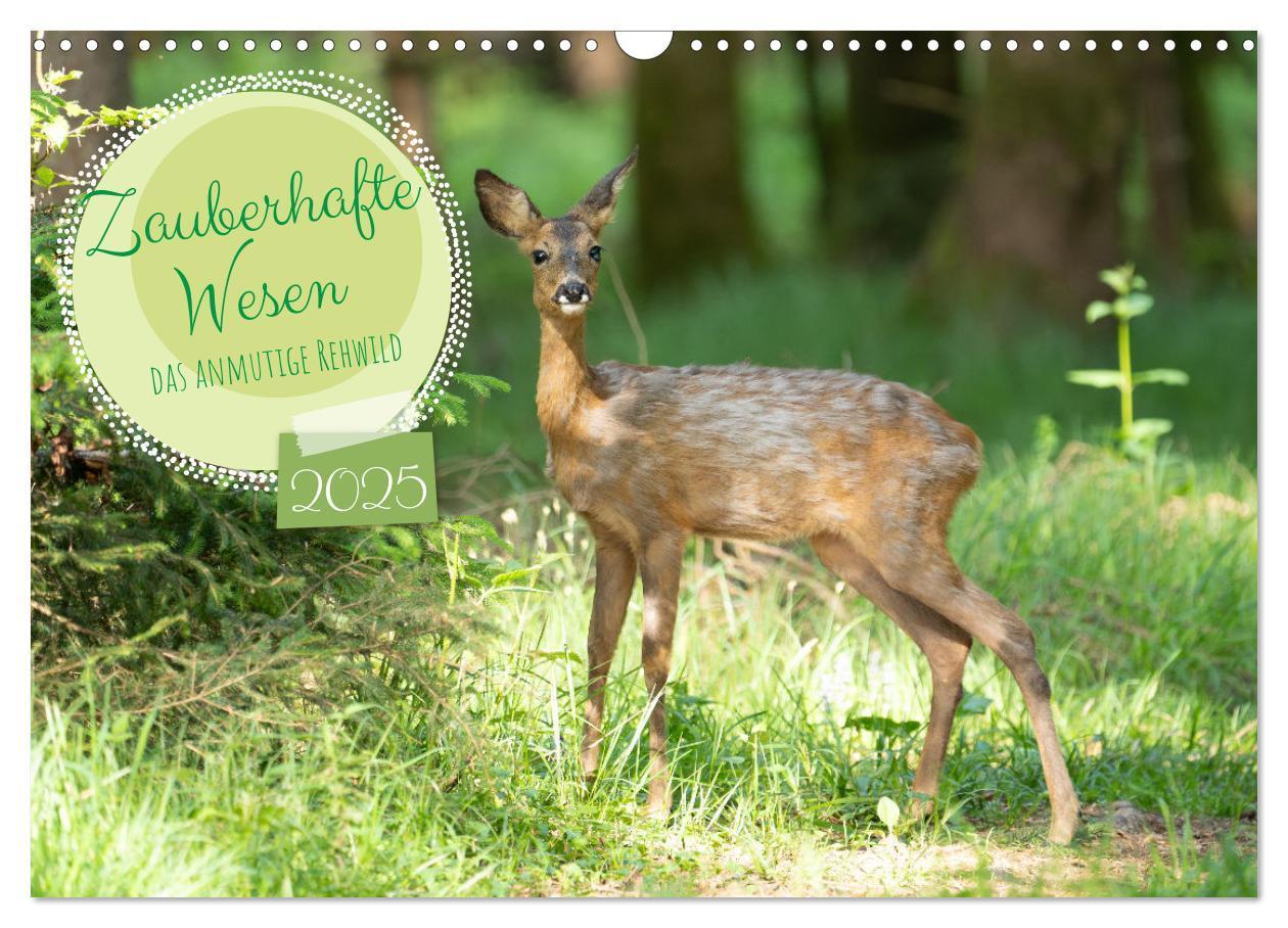 Cover: 9783457175989 | Zauberhafte Wesen - anmutiges Rehwild (Wandkalender 2025 DIN A3...