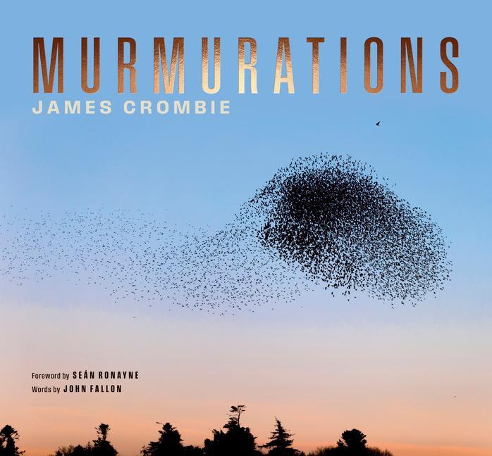 Cover: 9781843519119 | Murmuration | James Crombie | Buch | Englisch | 2025 | Lilliput Press