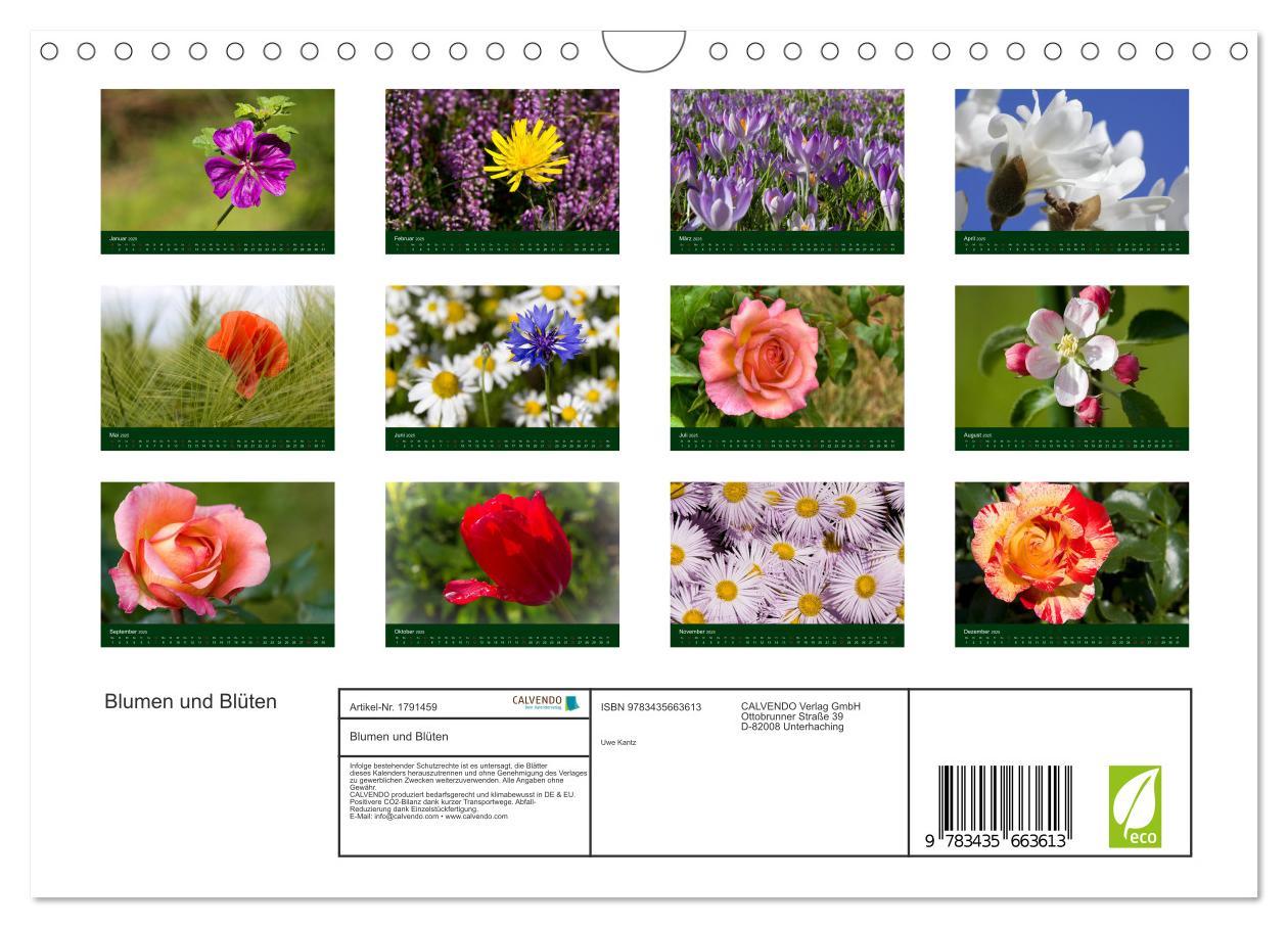 Bild: 9783435663613 | Blumen und Blüten (Wandkalender 2025 DIN A4 quer), CALVENDO...