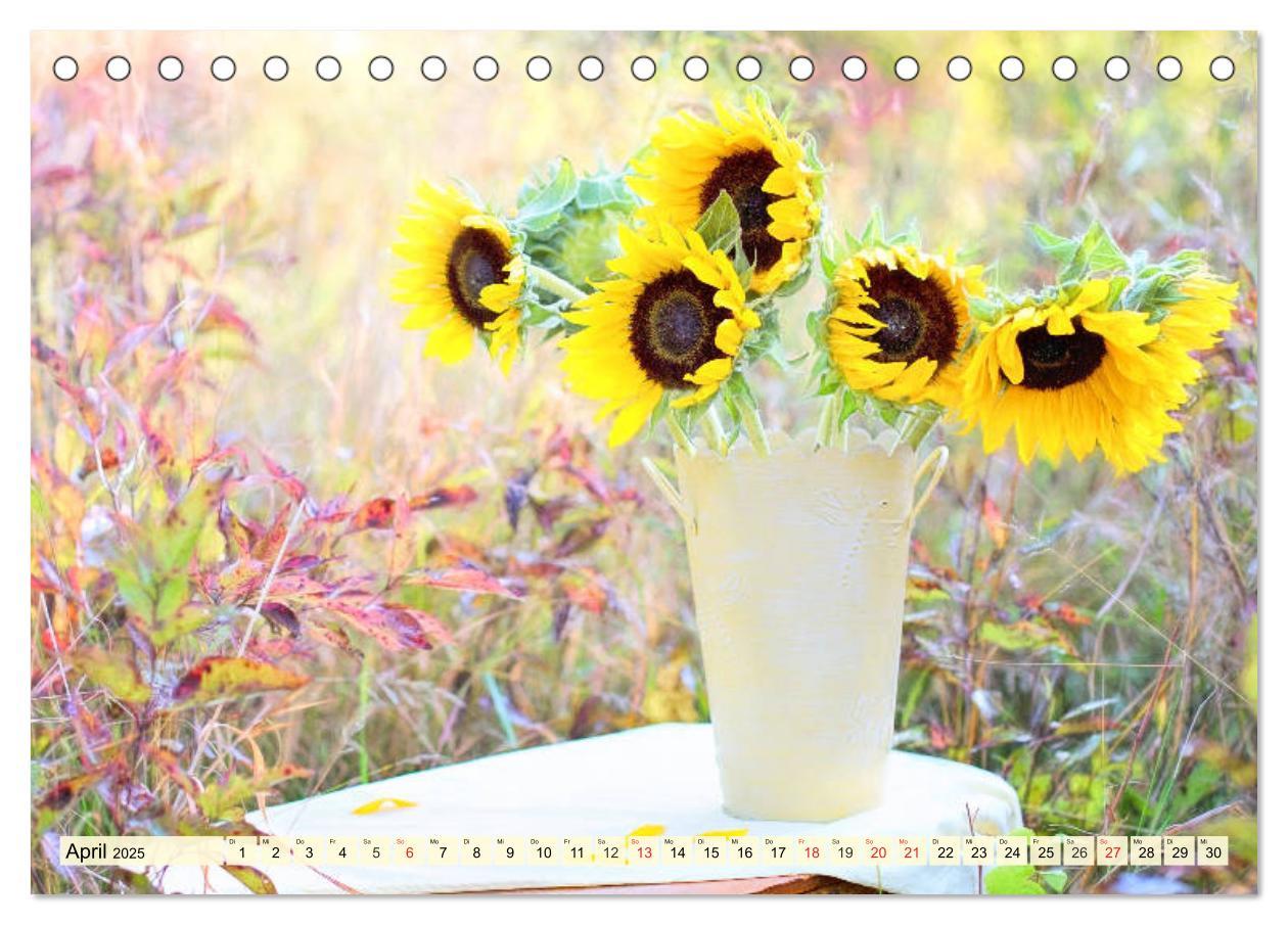 Bild: 9783435191826 | Sonnenblumen. Das Strahlen des Sommers (Tischkalender 2025 DIN A5...