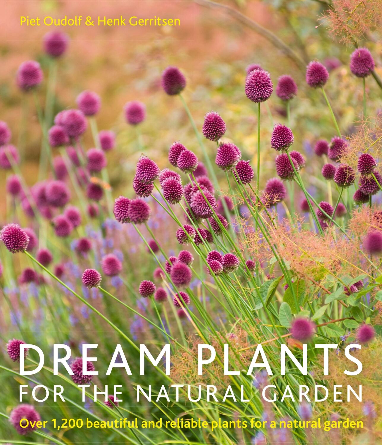 Cover: 9780711234628 | Dream Plants for the Natural Garden | Henk Gerritsen (u. a.) | Buch