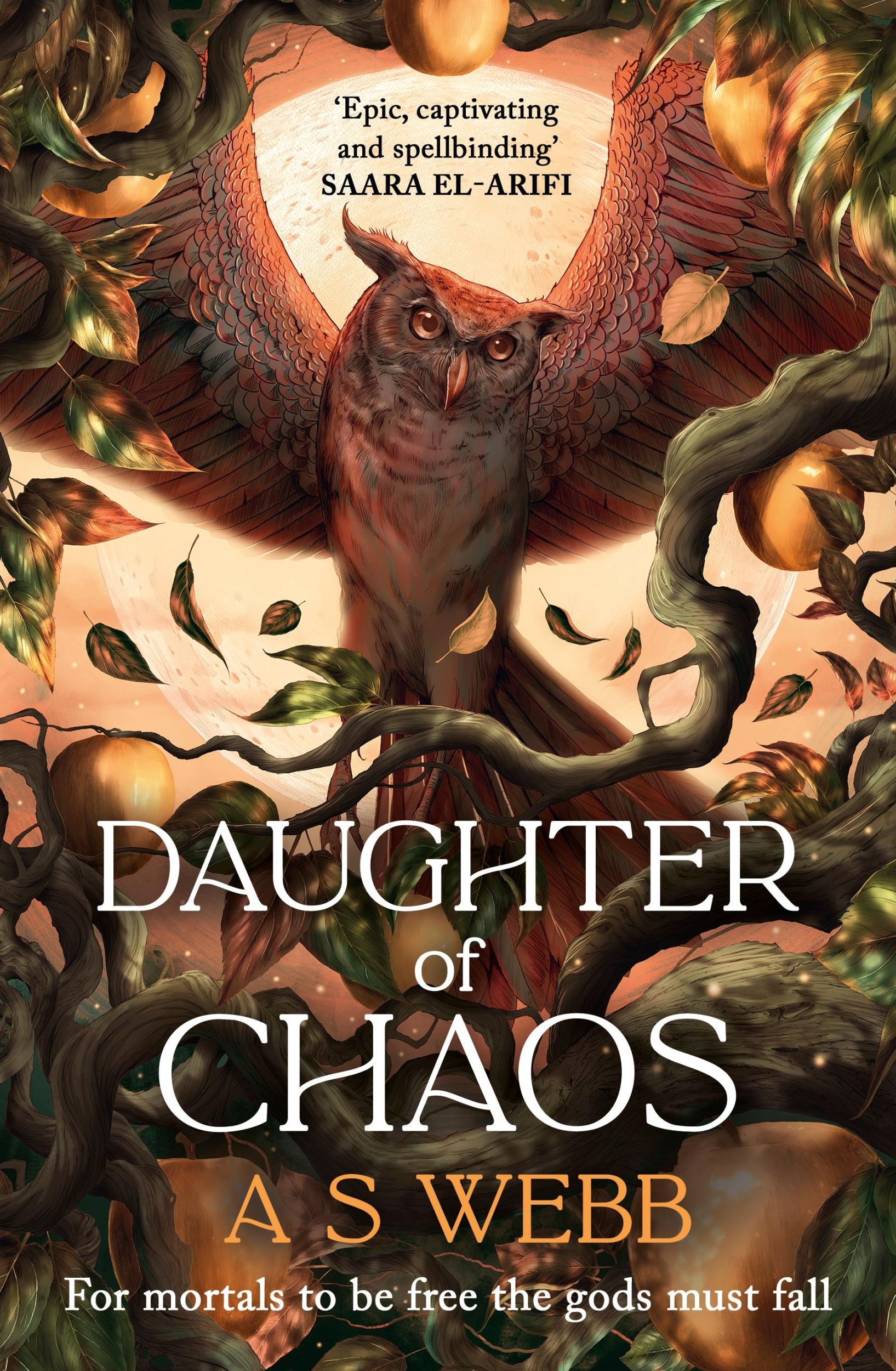 Cover: 9780241676363 | Daughter of Chaos | A S Webb | Buch | Englisch | 2025