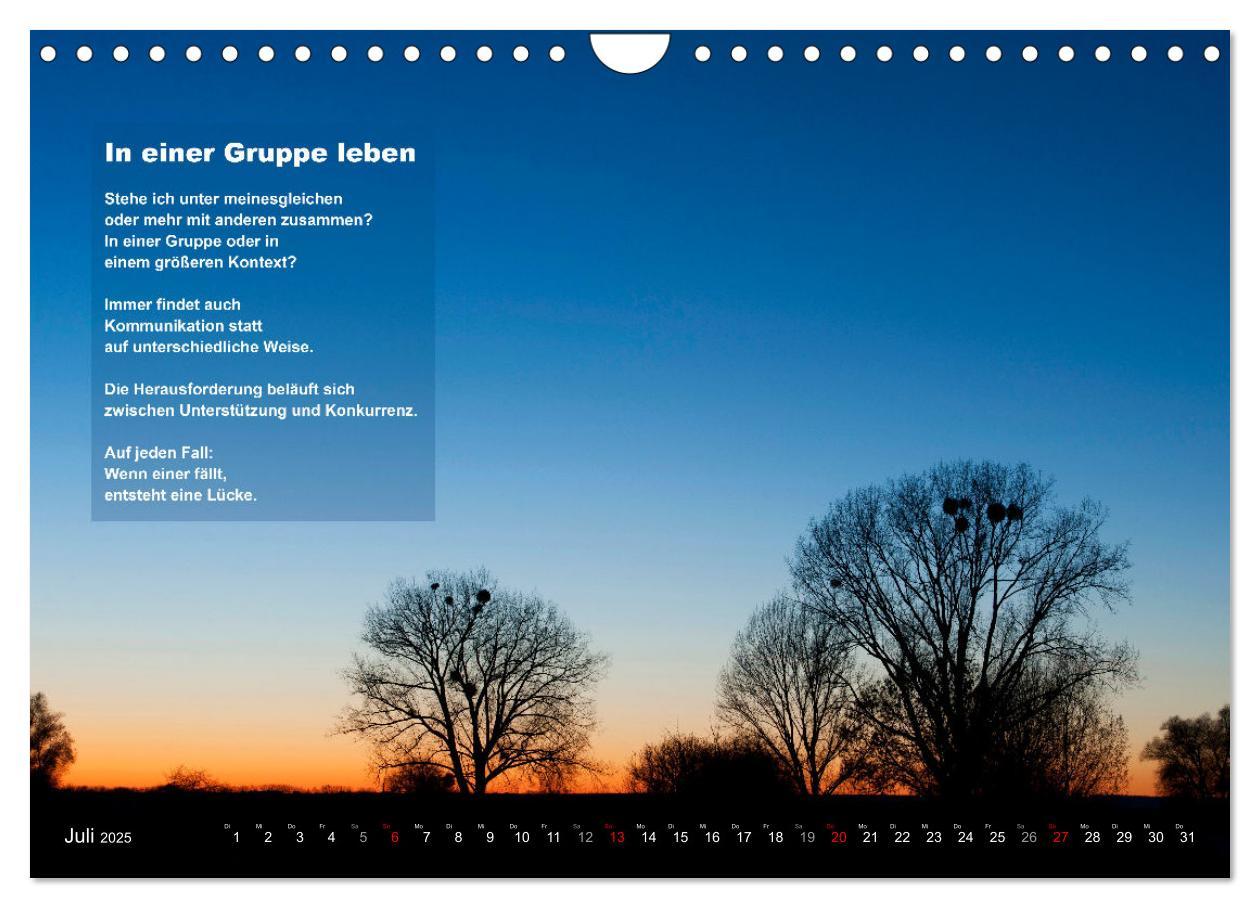 Bild: 9783383855825 | Stehen wie ein Baum (Wandkalender 2025 DIN A4 quer), CALVENDO...