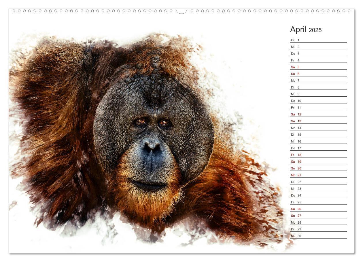 Bild: 9783435403387 | Tierportraits - Fine Art (Wandkalender 2025 DIN A2 quer), CALVENDO...