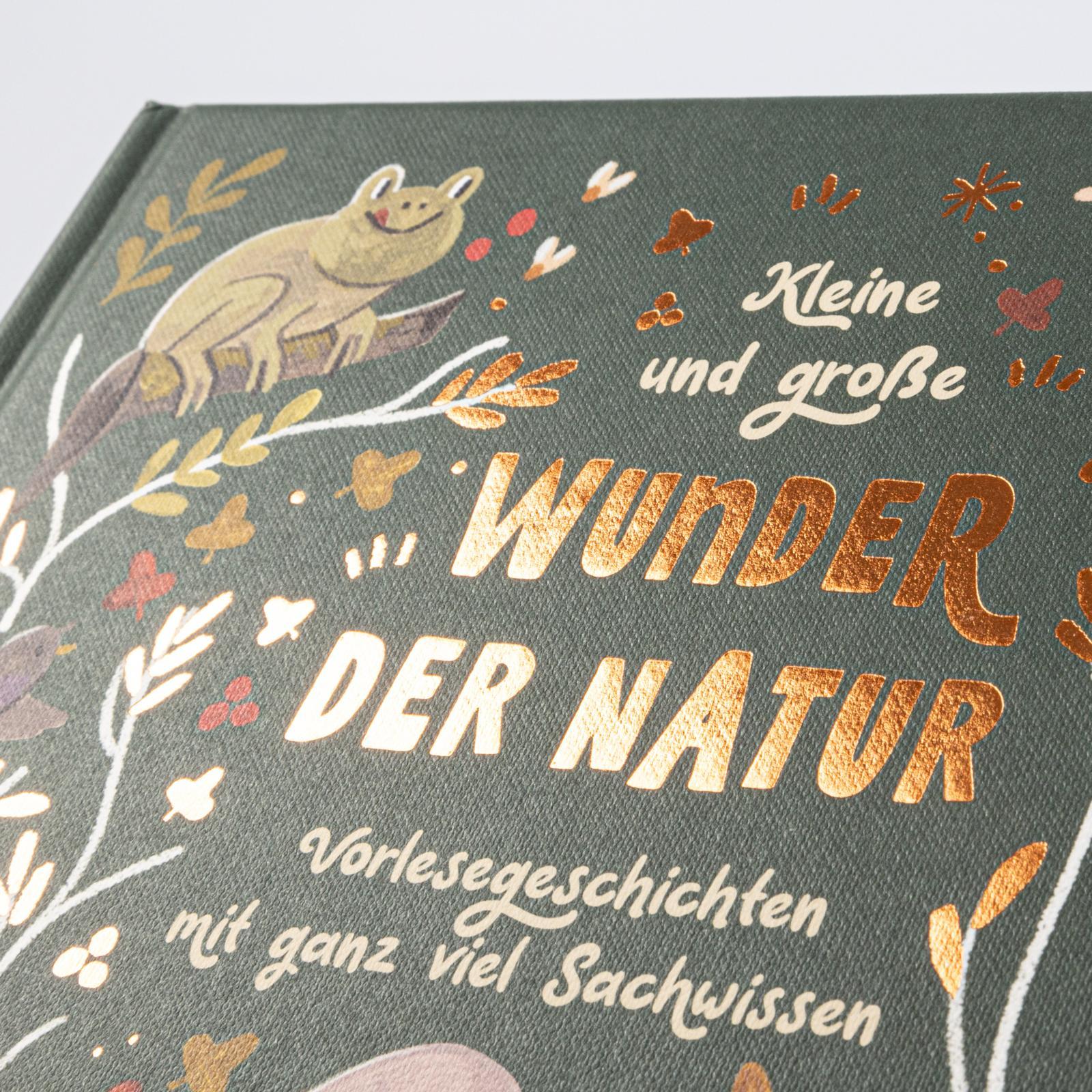 Bild: 9783551254580 | Kleine und große Wunder der Natur | Gabby Dawnay | Buch | 94 S. | 2023