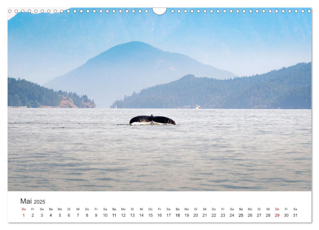 Bild: 9783435072576 | Kanadas Wunder (Wandkalender 2025 DIN A3 quer), CALVENDO...