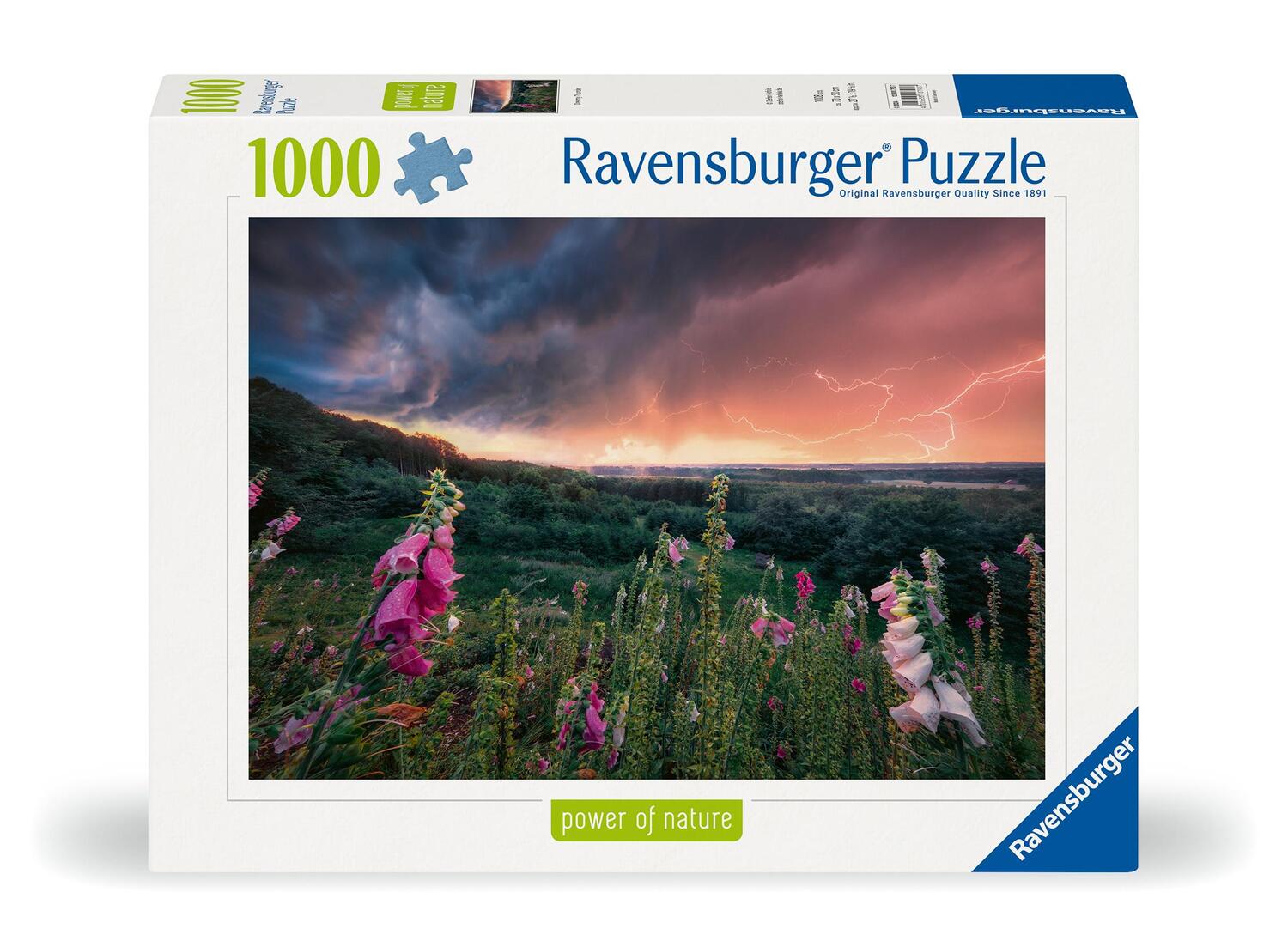 Cover: 4005555007937 | Ravensburger Puzzle 12000793 - Ein Sturm zieht auf - 1000 Teile...