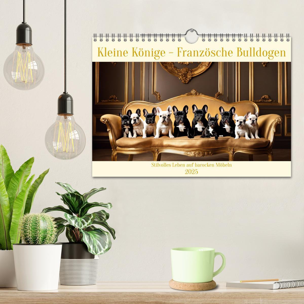 Bild: 9783383824975 | Kleine Könige - Französische Bulldoggen (Wandkalender 2025 DIN A4...