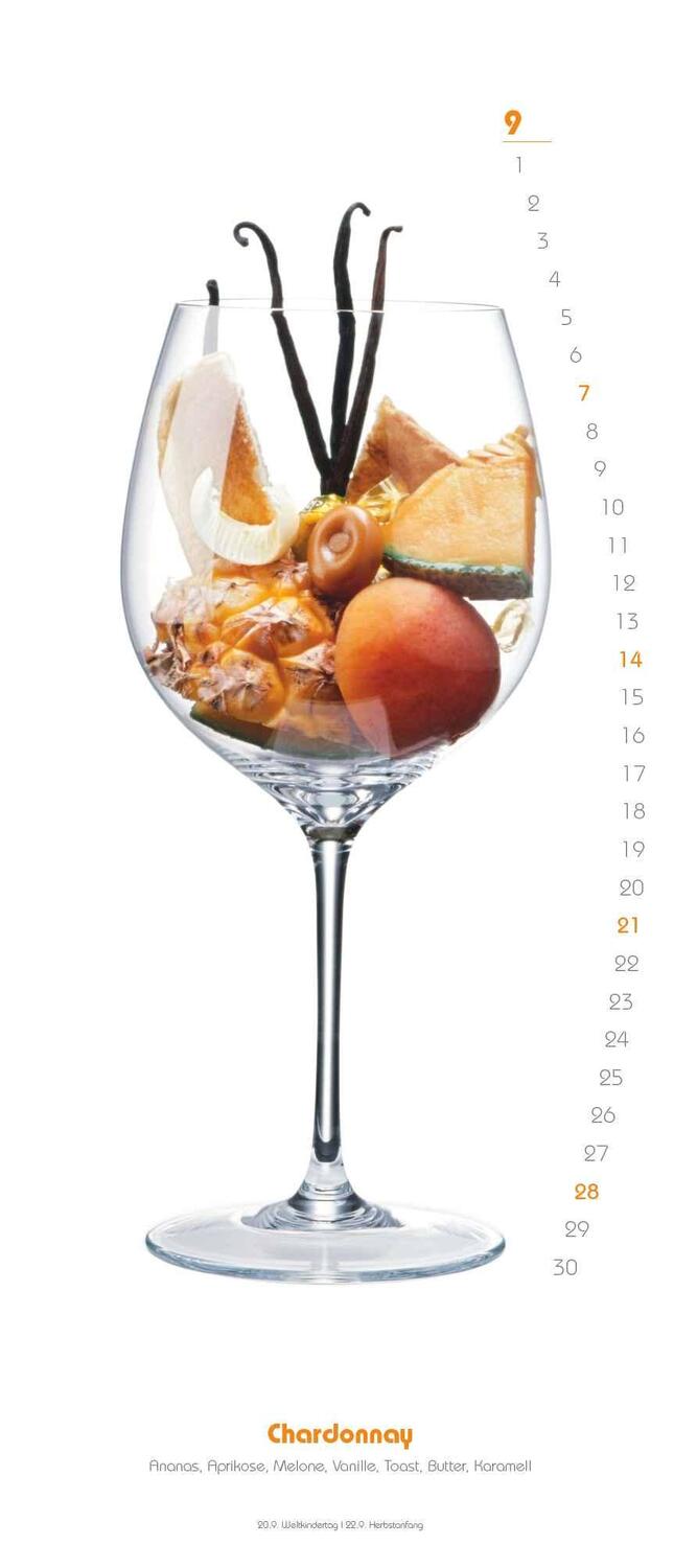 Bild: 4250809653716 | Weinaromen 2025 - Wandkalender - Weinsorten und wonach sie...