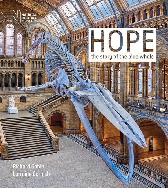 Cover: 9780565094775 | Hope: The Story of the Blue Whale | Richard Sabin (u. a.) | Buch