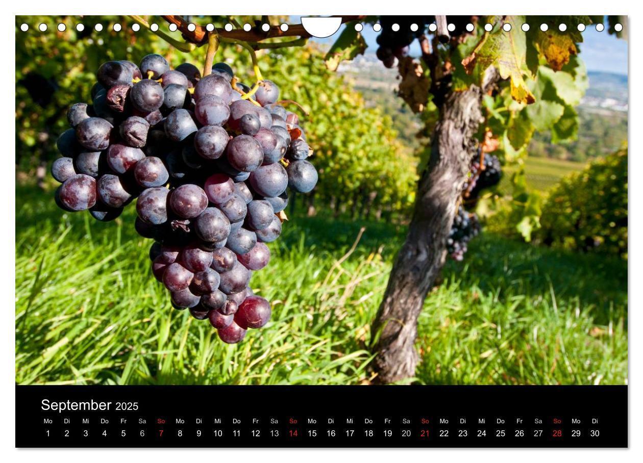 Bild: 9783435718948 | Weinberge im Remstal (Wandkalender 2025 DIN A4 quer), CALVENDO...