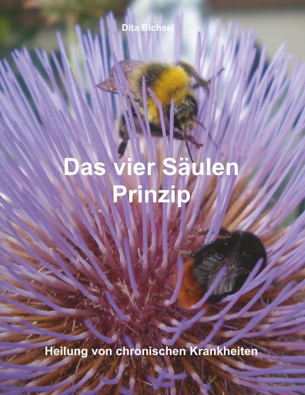 Cover: 9783732255771 | Das vier Säulen Prinzip | Heilung von chronischen Krankheiten | Buch