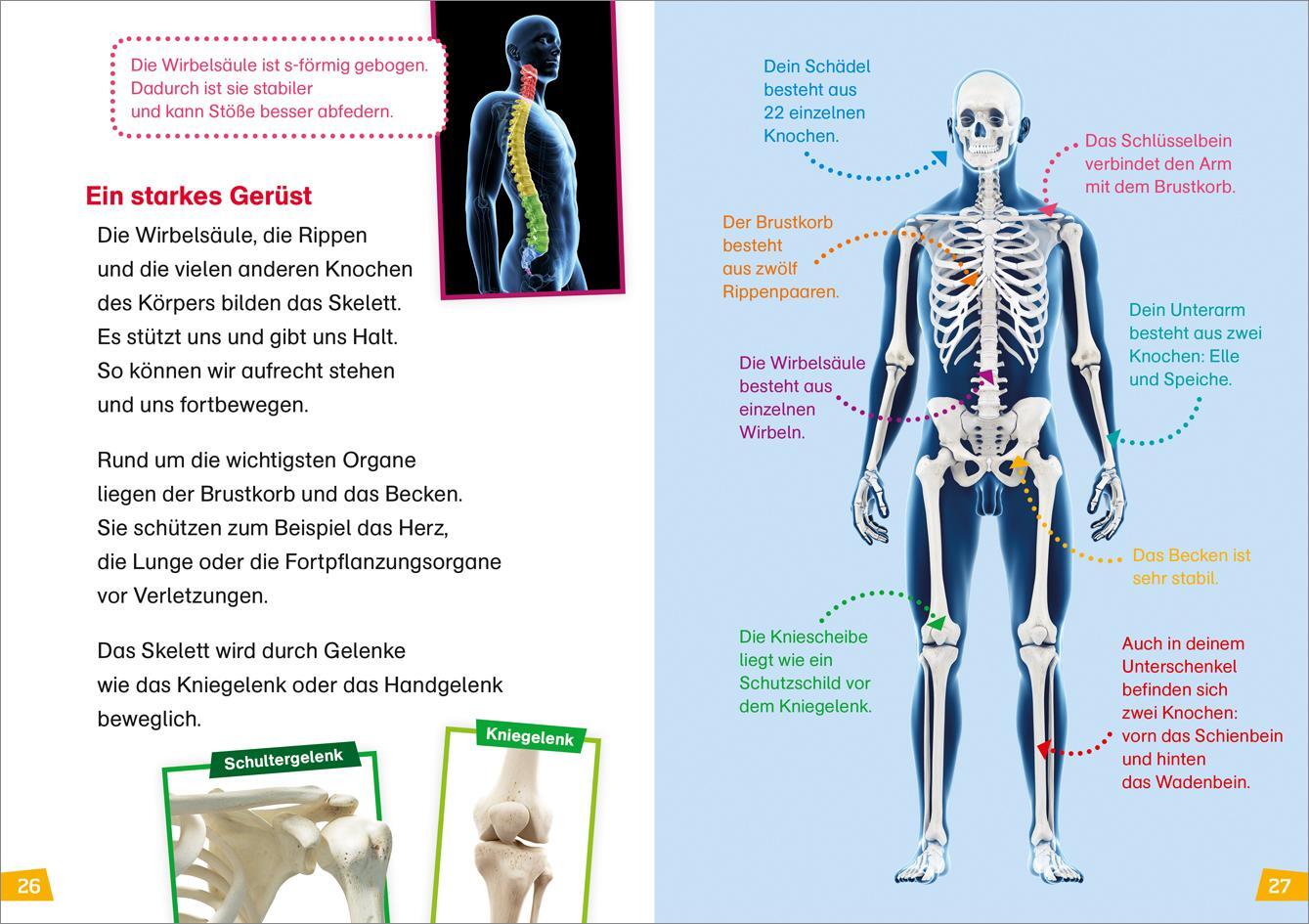 Bild: 9783788676704 | WAS IST WAS Erstes Lesen Band 14. Unser Körper | Christina Braun