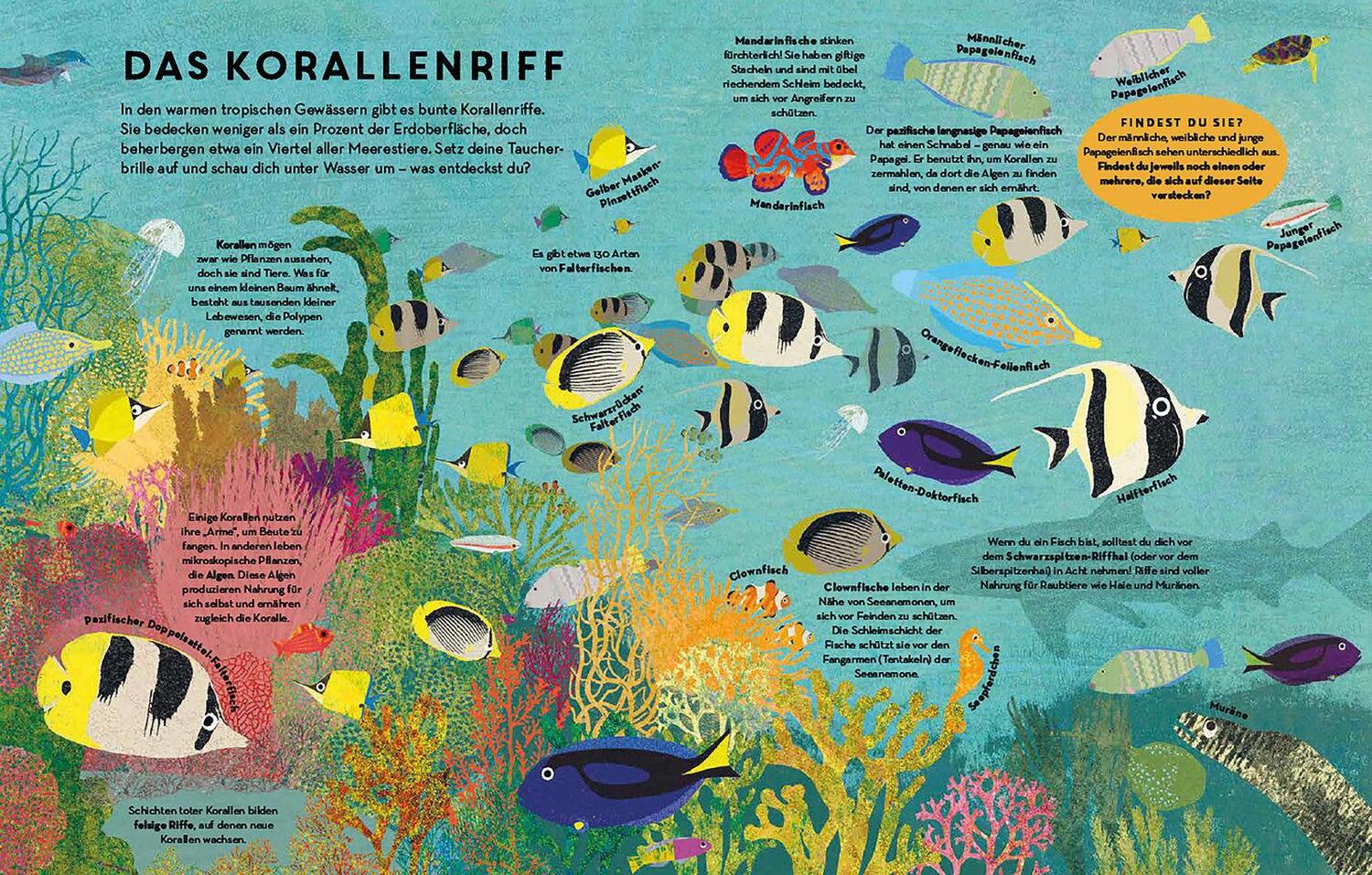 Bild: 9783791373867 | Fische, Fische überall | Britta Teckentrup | Buch | 32 S. | Deutsch