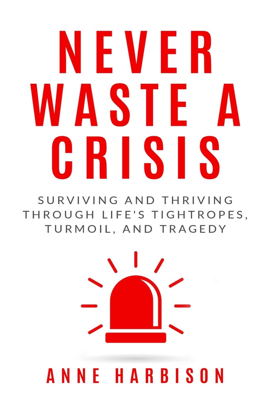 Cover: 9781946875853 | Never Waste a Crisis | Anne Harbison | Taschenbuch | Englisch | 2021