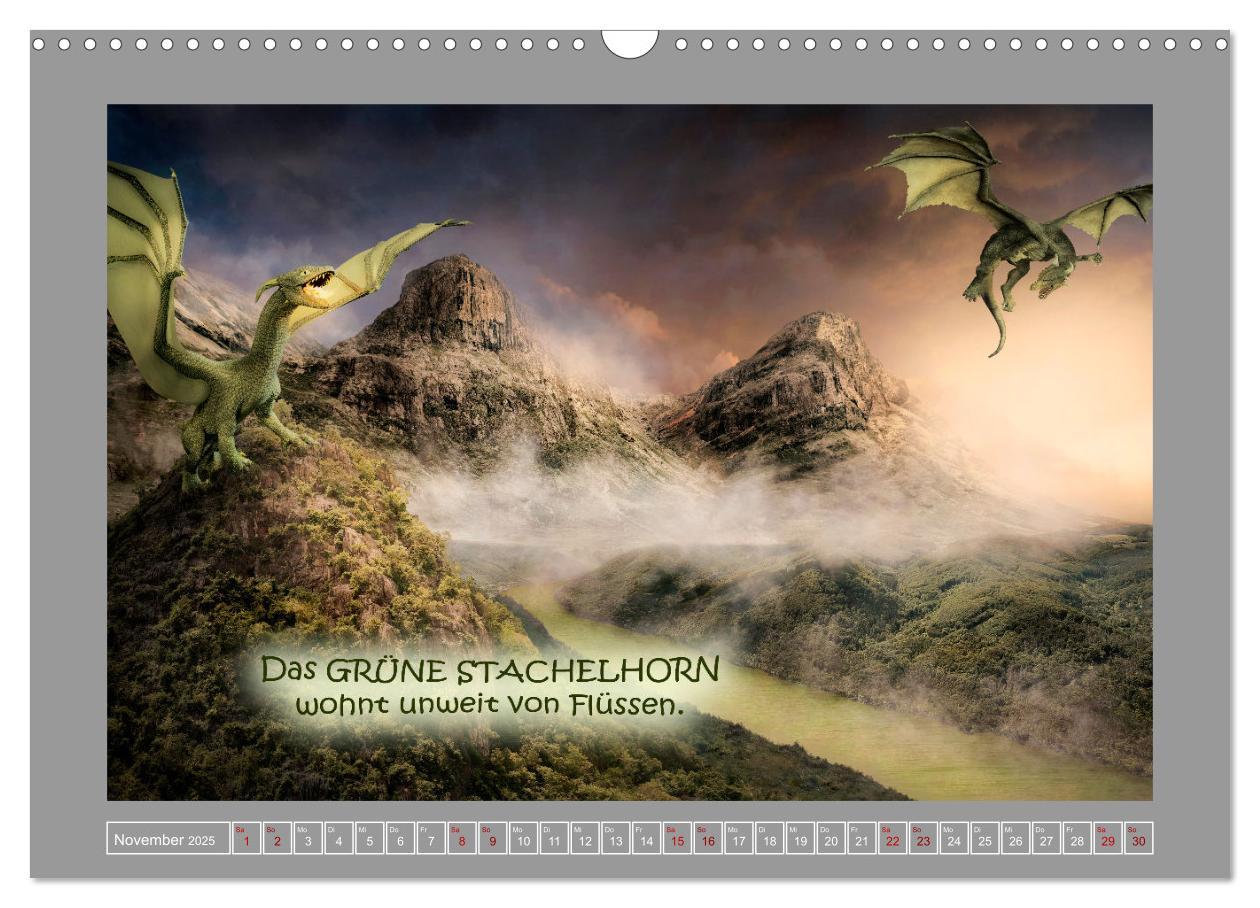 Bild: 9783383987274 | Wo die wilden Drachen wohnen (Wandkalender 2025 DIN A3 quer),...