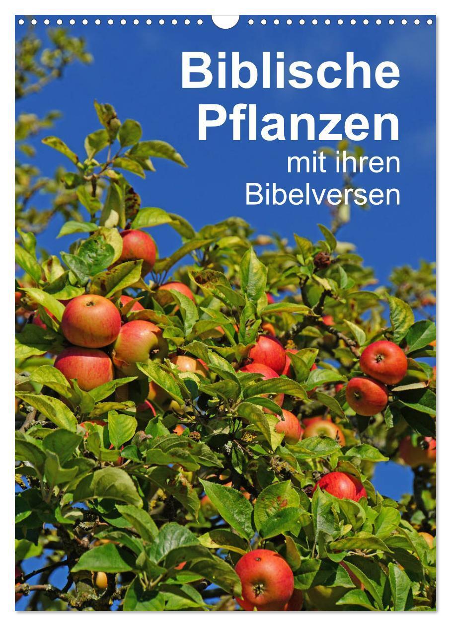 Cover: 9783435974375 | Biblische Pflanzen mit ihren Bibelversen (Wandkalender 2025 DIN A3...