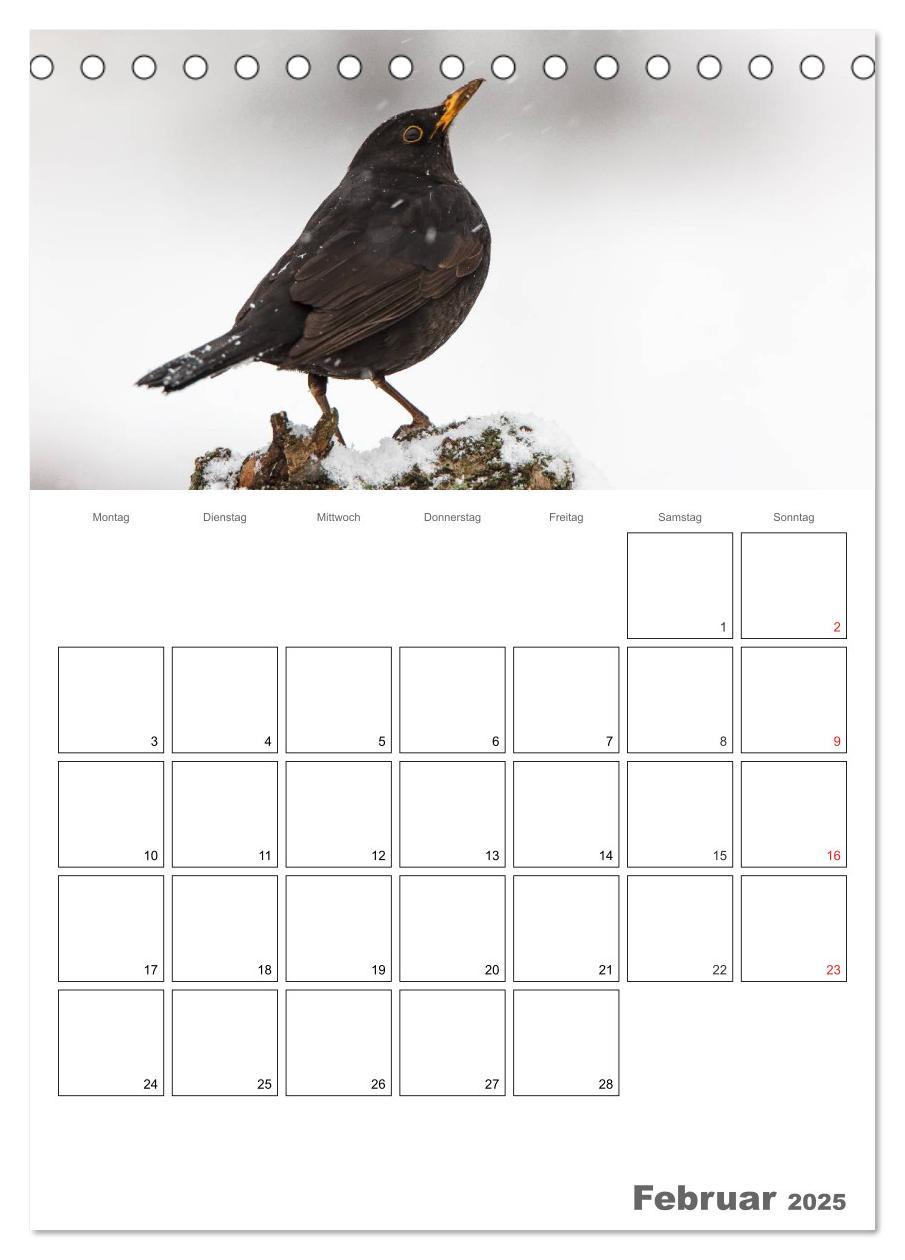 Bild: 9783457007730 | Vögel im heimischen Garten (Tischkalender 2025 DIN A5 hoch),...