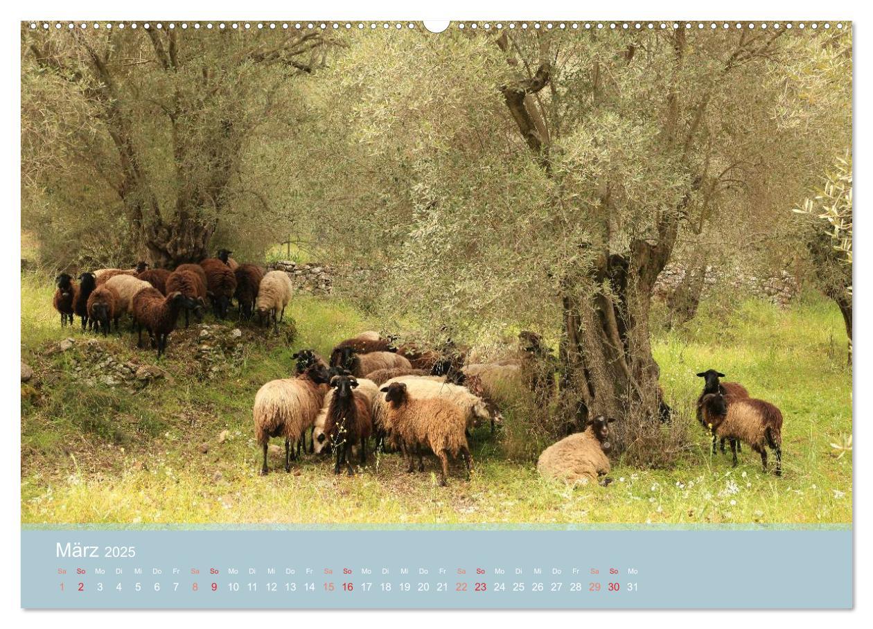 Bild: 9783435682867 | Lesbos - Inselimpressionen (Wandkalender 2025 DIN A2 quer),...