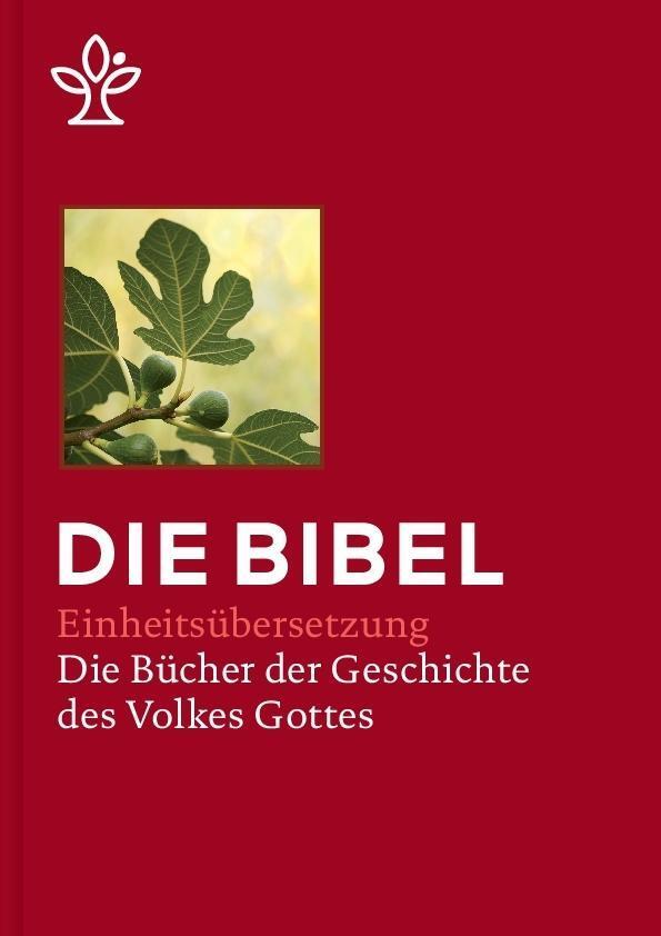 Bild: 9783920609553 | Bibel in 5 Einzelbüchern in Geschenkkassette, Großdruck | Buch | 2017