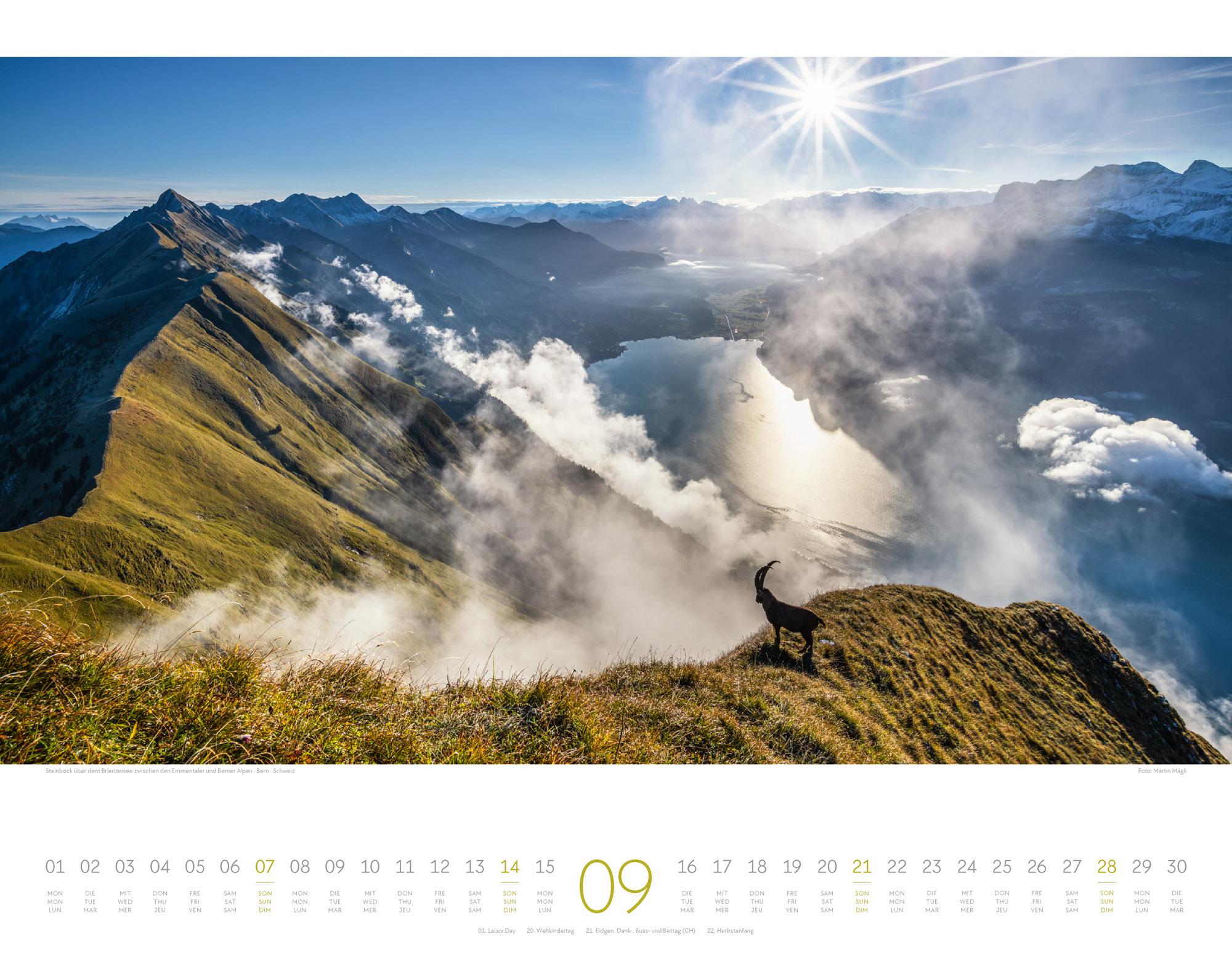 Bild: 9783838425849 | Naturparadies Alpen Kalender 2025 | Ackermann Kunstverlag | Kalender