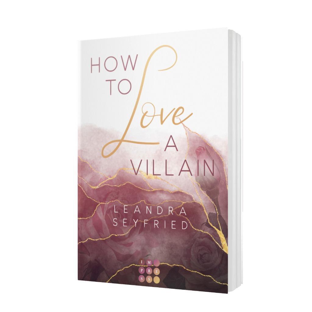 Bild: 9783551305244 | How to Love A Villain (Chicago Love 1) | Leandra Seyfried | Buch