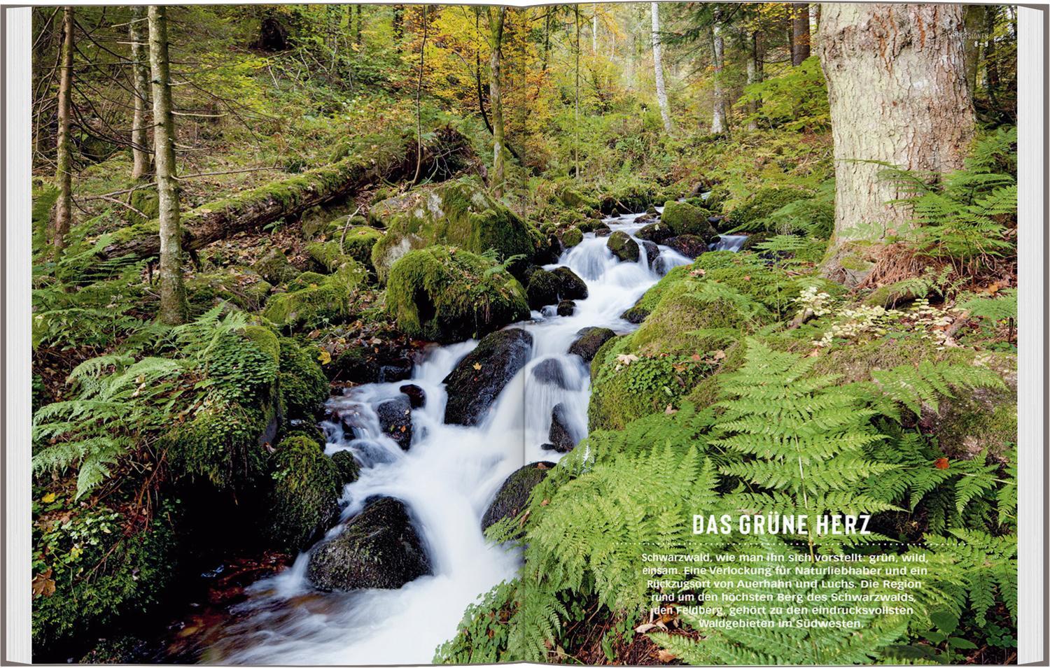 Bild: 9783616012865 | DuMont Bildatlas Schwarzwald Süden | Cornelia Tomaschko | Taschenbuch