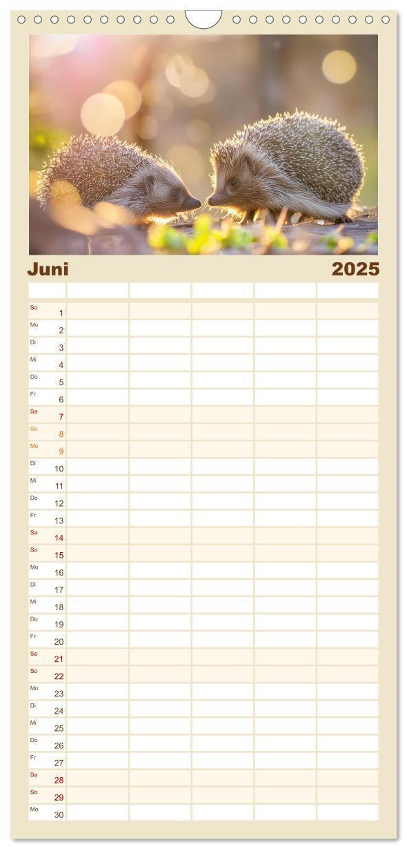 Bild: 9783457193037 | Familienplaner 2025 - Mein Igel-Kalender mit 5 Spalten...