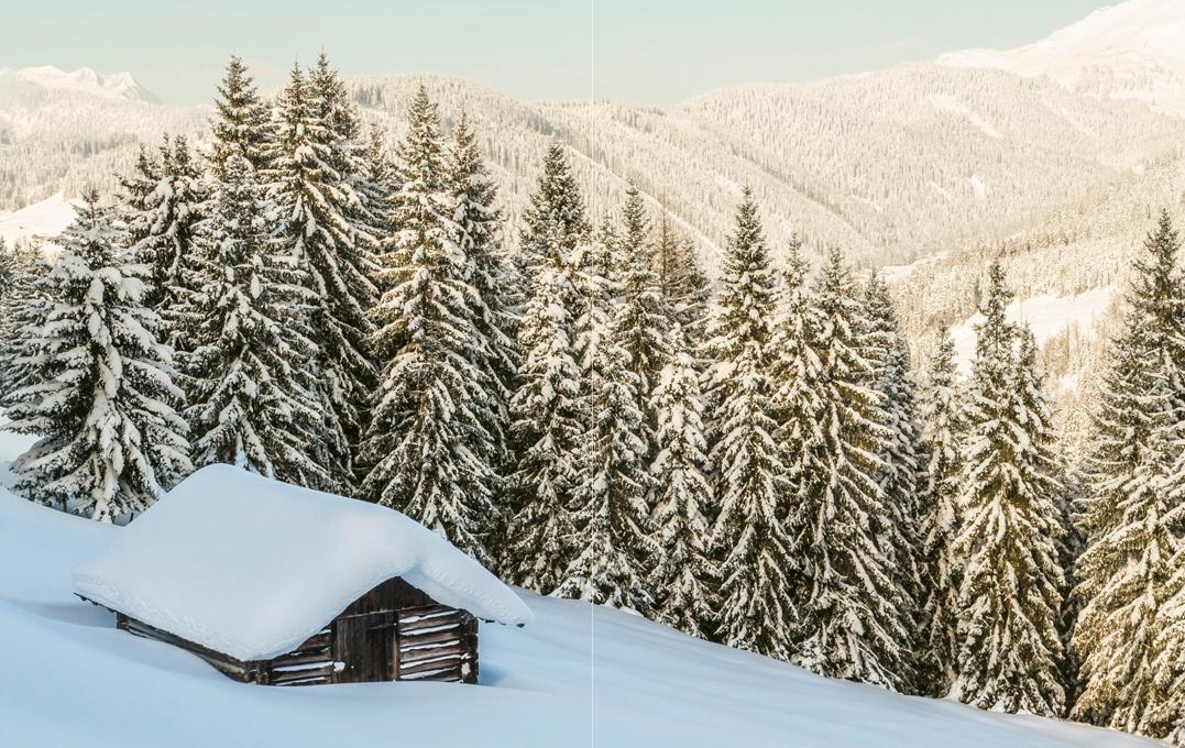 Bild: 9783710402593 | Mein Weihnachten | Ein Streifzug durch den Advent | Johanna Maier