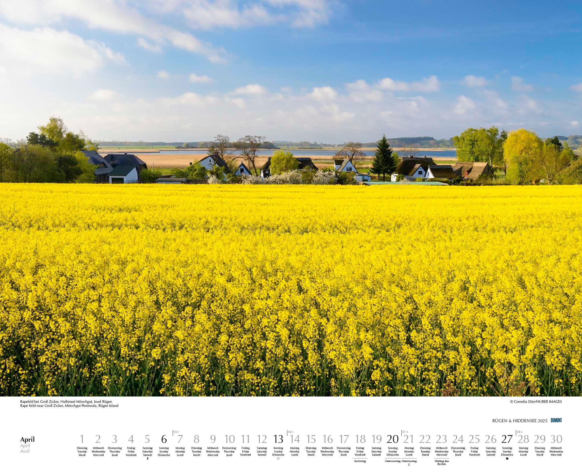 Bild: 4250809652726 | Rügen &amp; Hiddensee 2025 - Wandkalender 52 x 42,5 cm - Spiralbindung