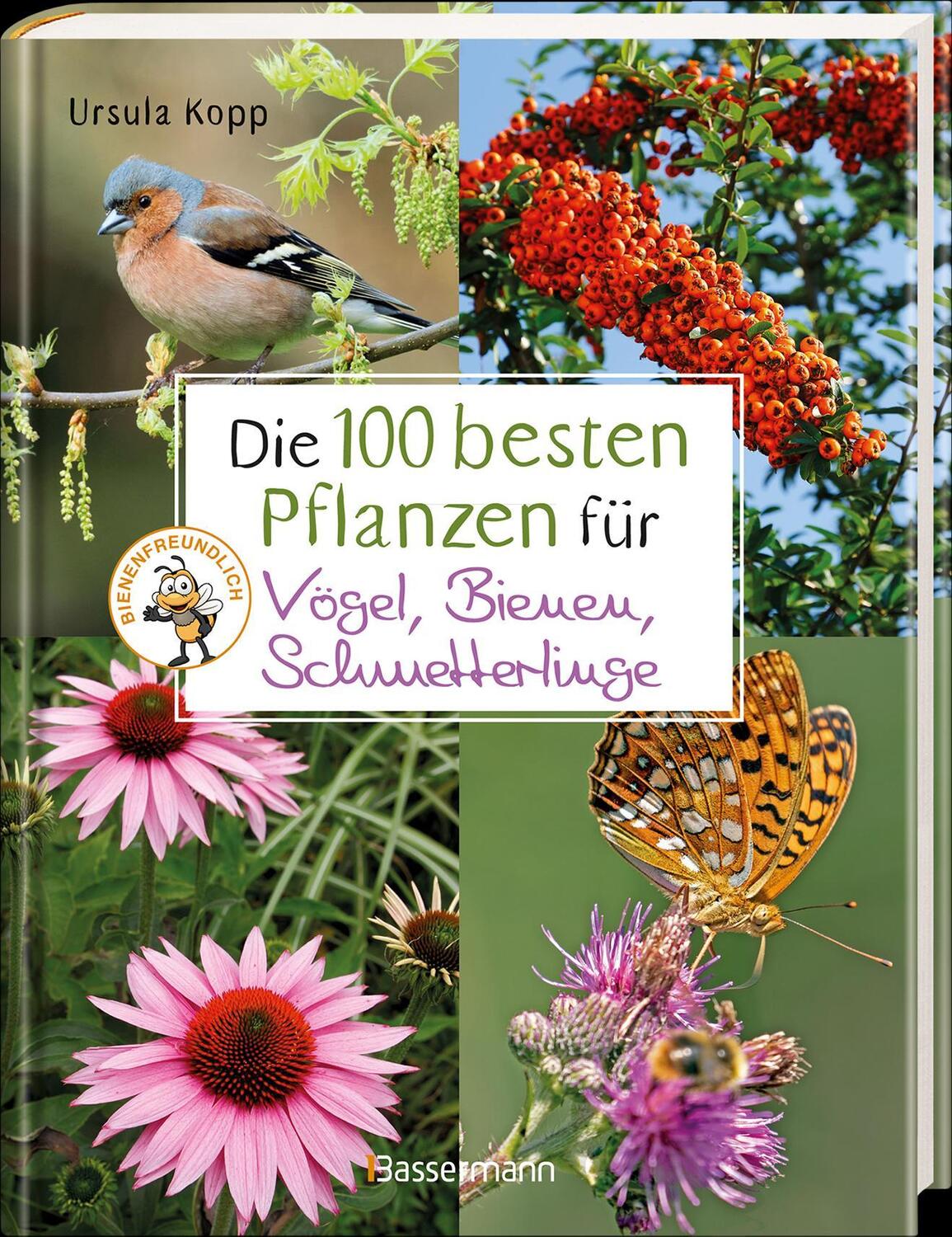 Bild: 9783809445036 | Die 100 besten Pflanzen für Vögel, Bienen, Schmetterlinge | Kopp