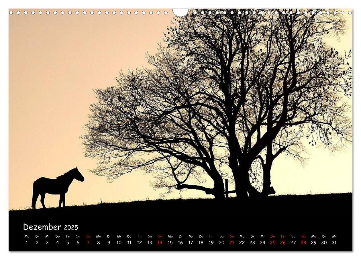 Bild: 9783435676453 | Billerbeck - Perle der Baumberge (Wandkalender 2025 DIN A3 quer),...