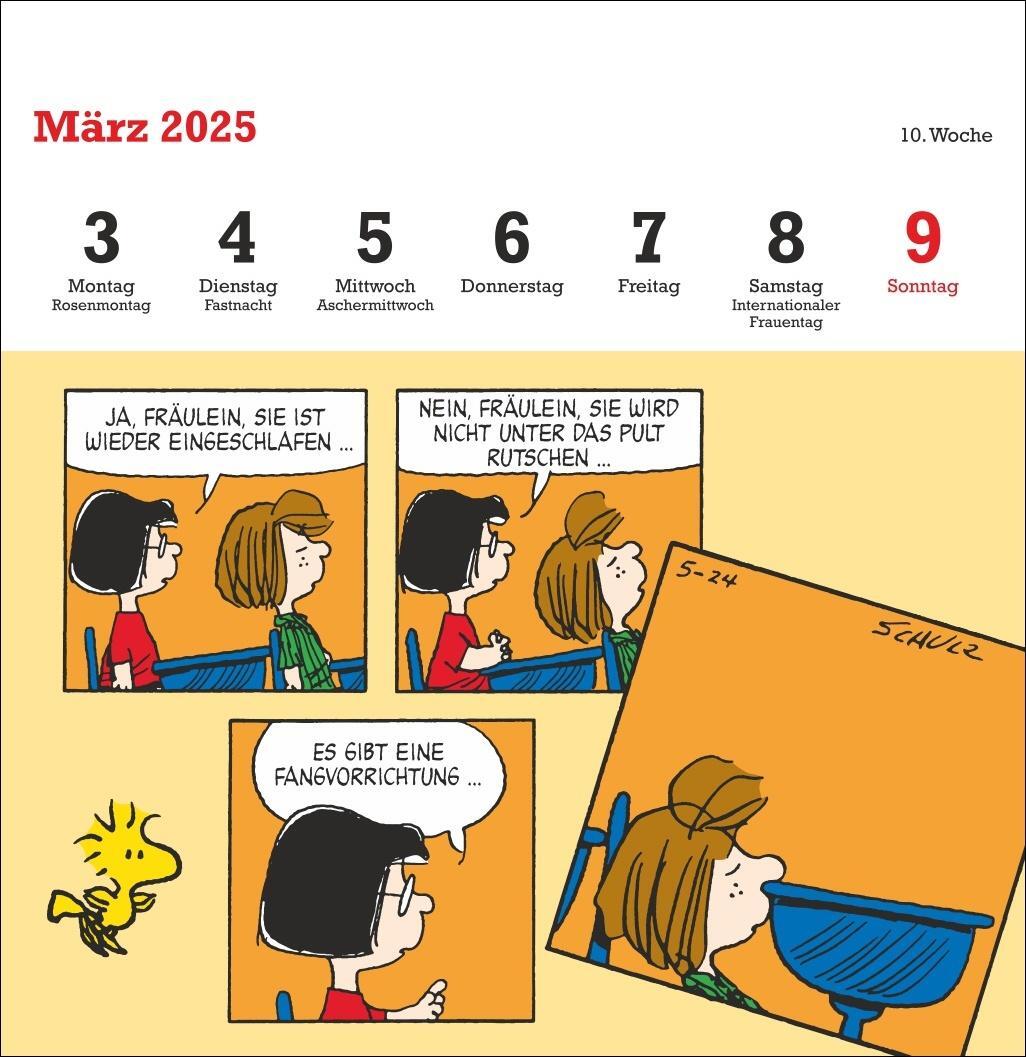 Bild: 9783756408078 | Peanuts Premium-Postkartenkalender 2025 | Heye | Kalender | 54 S.