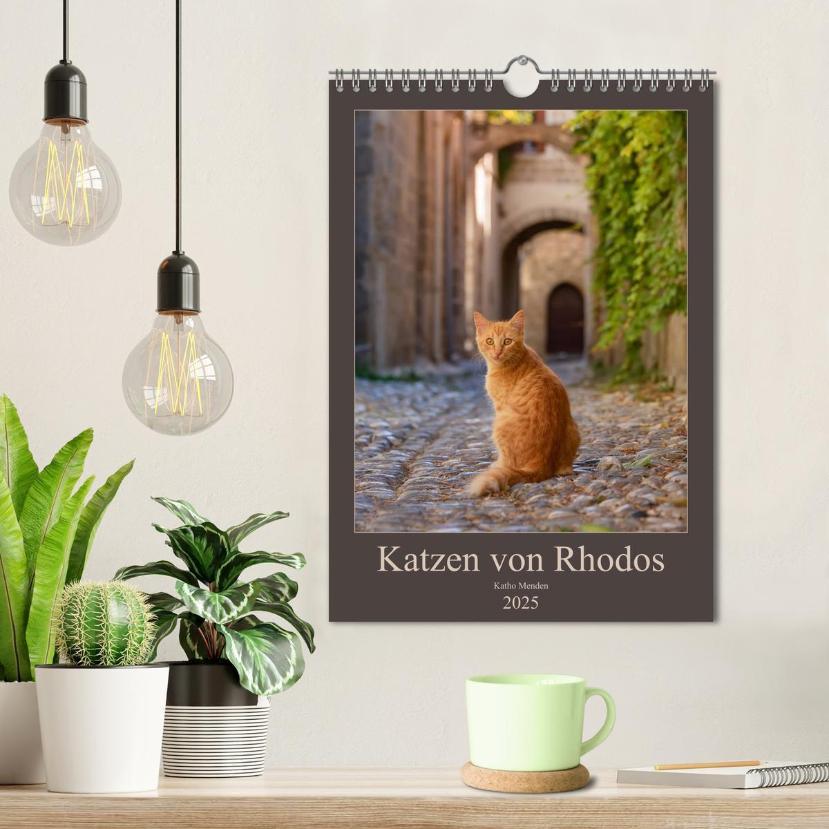 Bild: 9783435990030 | Katzen von Rhodos (Wandkalender 2025 DIN A4 hoch), CALVENDO...