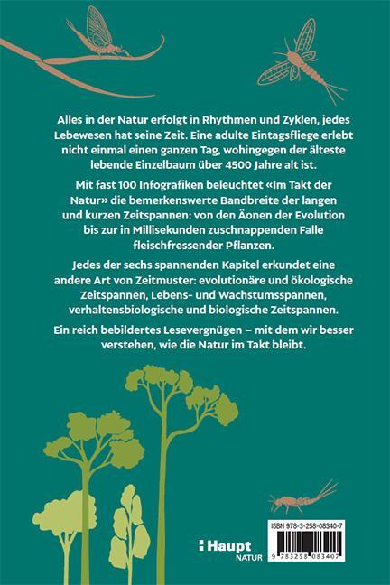 Rückseite: 9783258083407 | Im Takt der Natur | Helen Pilcher | Buch | 208 S. | Deutsch | 2023