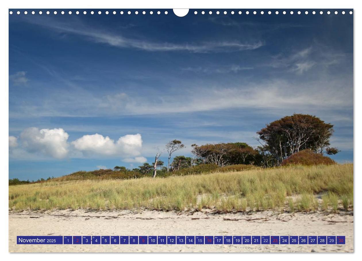 Bild: 9783435781973 | Weststrand Darß (Wandkalender 2025 DIN A3 quer), CALVENDO...