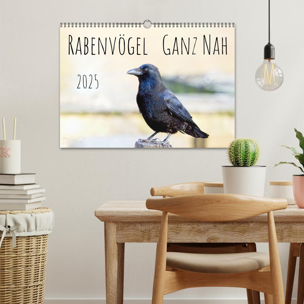 Bild: 9783383927447 | Rabenvögel - ganz nah (Wandkalender 2025 DIN A3 quer), CALVENDO...