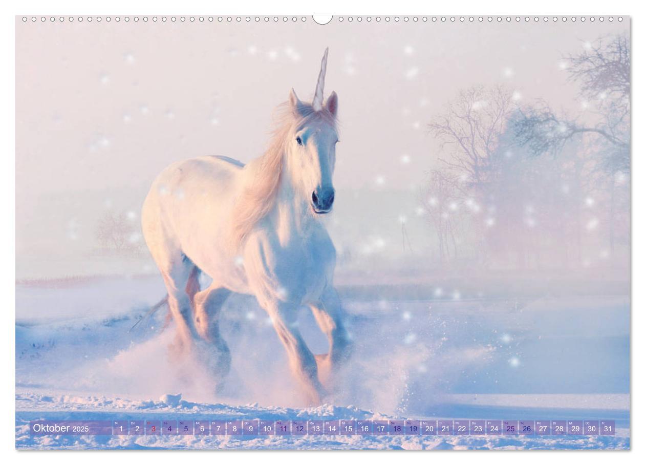 Bild: 9783435303755 | Einhorn Love - Fantasiewelt (hochwertiger Premium Wandkalender 2025...