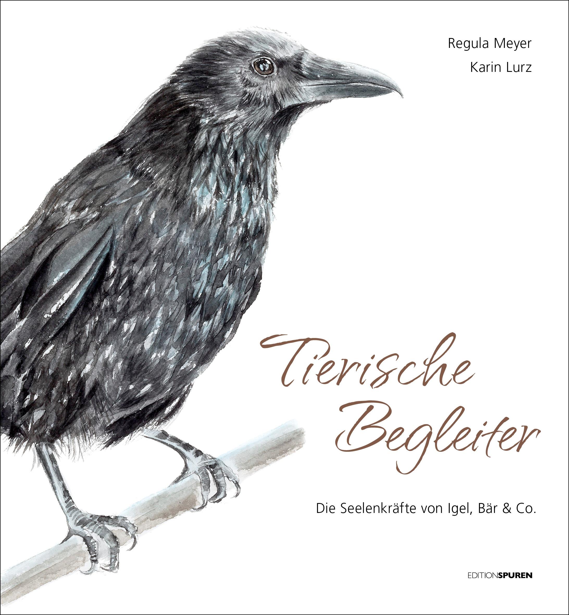 Cover: 9783905752502 | Tierische Begleiter | Die Seelenkräfte von Igel, Bär &amp; Co | Meyer