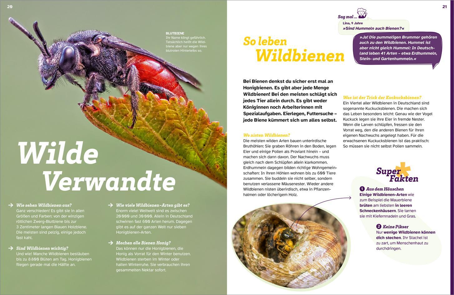 Bild: 9783788681739 | WAS IST WAS Bienen. Summende Genies | Nicole Röndigs | Buch | 48 S.